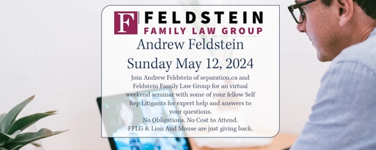 Feldstein Family Law Group Seminar