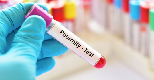 paternity test